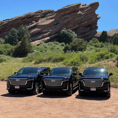 Mountain Limo Service