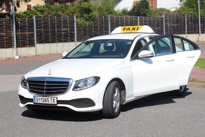 ARGE TAXI GRAZ Kleinbusse, E-Bike-Anhänger, Chauffeurservice