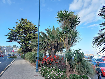 Mermaid Pleasure Trips Penzance