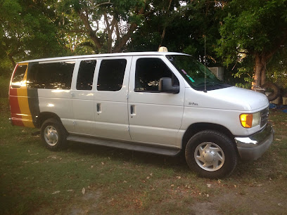 Native Son Taxi & Tours