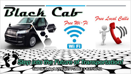 Black Cab Service