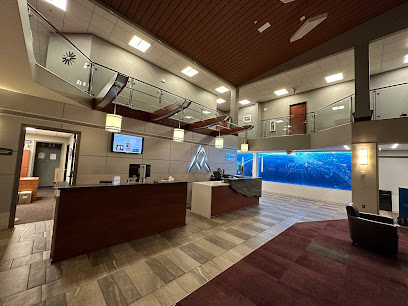 Vantage Aviation