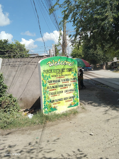 PUROK VISTA ALILAYA VILLAGE