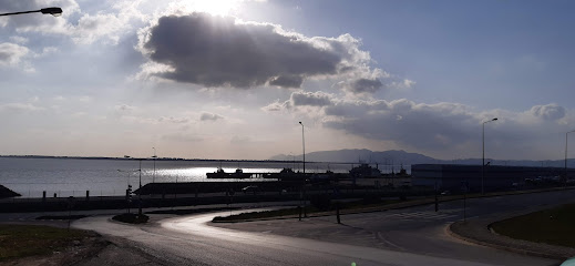 Rotas de Setúbal, Táxis Lda