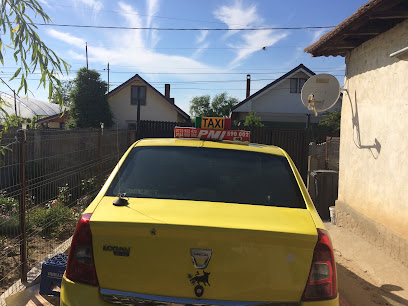 Taxi PMI Craiova