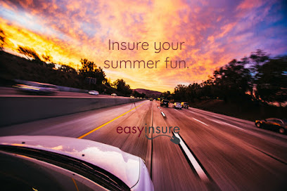 EasyInsure