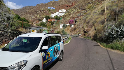 Radio Taxi Santa María - Santa Cruz de Tenerife