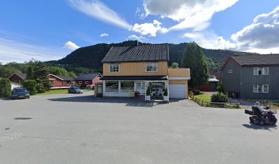 Tor Arne Rønning