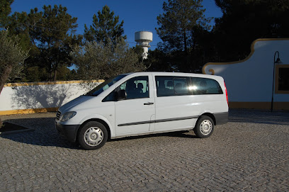 Badger Tours / Rent a Car