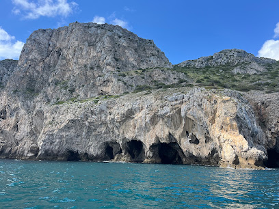 Sea Dreams Tours and Fishing