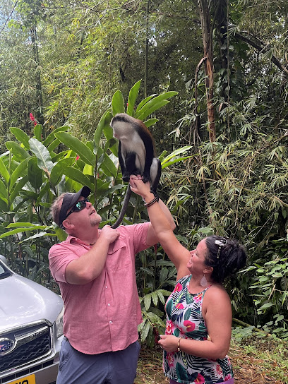 Big Shawn Taxi & Tours