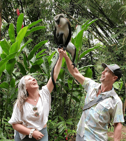 Grenada Gifted Taxi and Tours