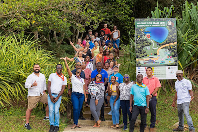 Illustrious taxi and tour
