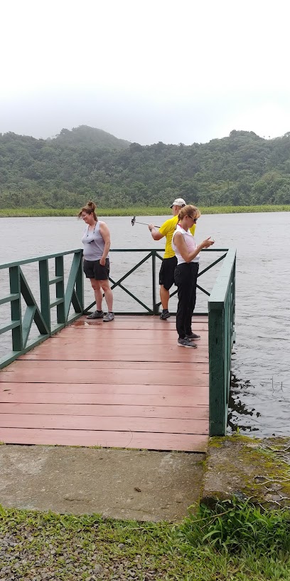 Lewis taxi and tours