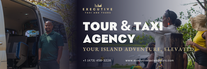 Executive Taxi and Tours