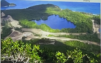 Authentic Grenadian taxi & tours land and