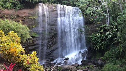 Real Grenadian Taxi and Tours