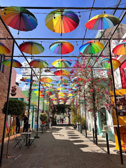 Salvador Taxi or SalvaSix Tours and Transfers 🇩🇴