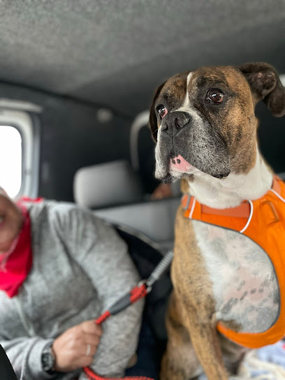 Transporte de Mascotas AutoPet