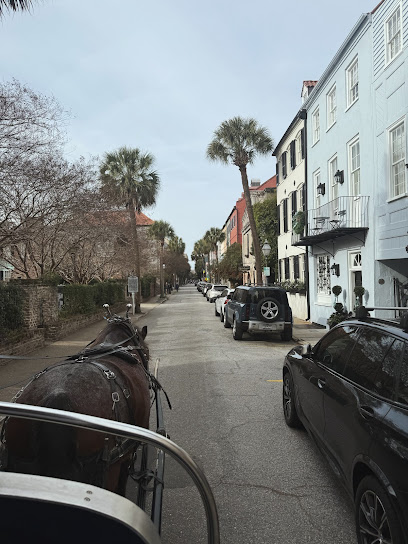 Carolina Polo and Carriage Co.