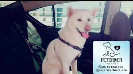 Táxi Pet - PET DRIVE FORTALEZA