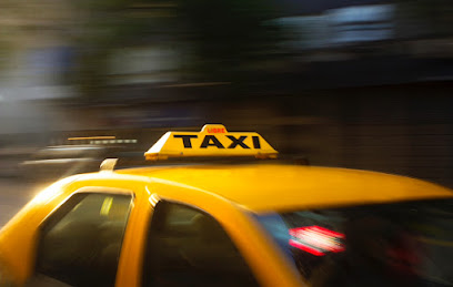 Skagen taxa / Hamed Al-mousawi