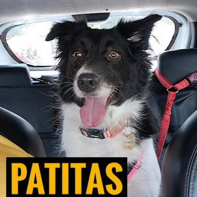 Patitas Transporte Pet