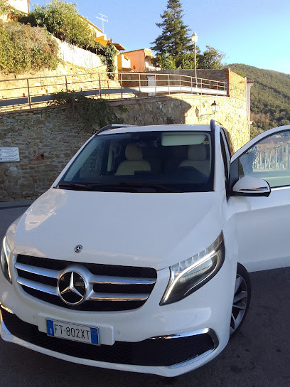 TAXI FOLLONICA Giancarlo Pitterl