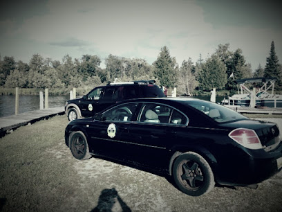 Alpine LTT: 989-731-TAXI