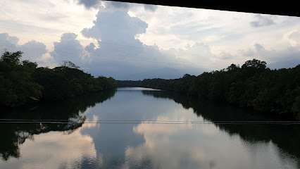 Firefly Watching Palawan