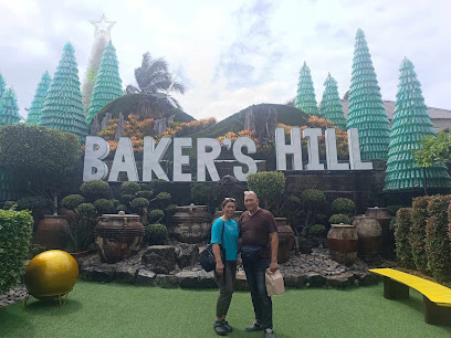 Palawan Airport Transfer and Tours