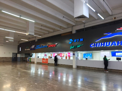 Central de Autobuses de Torreón