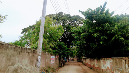 কড়ই তলা ডিয়ারা