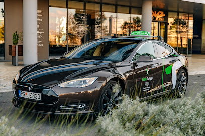 Tesla taxi Podgorica (TeslaGoApp)