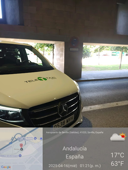 Taxi 7 plazas Sevilla - Taxi adaptado minusválidos