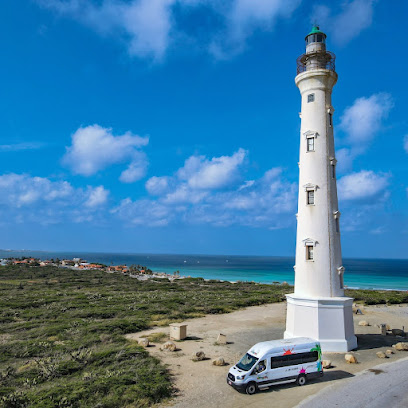 Chogogo Tours, Transfer & Events